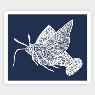 Hummingbird Hawk-Moth - cool and fun moth design - on blue Magnet